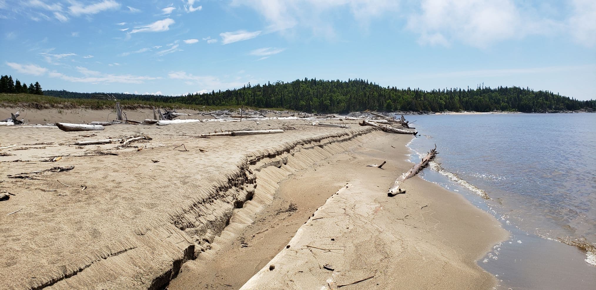 a7821e2b64ccdd07fbd24aed7ba6ad31